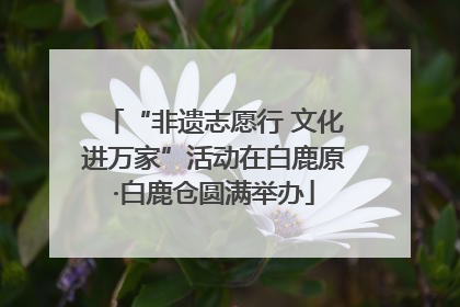 “非遗志愿行 文化进万家”活动在白鹿原·白鹿仓圆满举办
