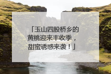 玉山四股桥乡的黄桃迎来丰收季，甜蜜诱惑来袭！