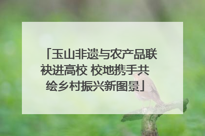 玉山非遗与农产品联袂进高校 校地携手共绘乡村振兴新图景