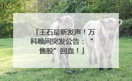 王石最新发声！万科晚间突发公告：“售股”回血！