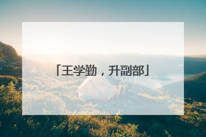 王学勤，升副部