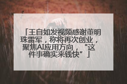 王自如发视频感谢董明珠雷军，称将再次创业，聚焦AI应用方向，“这件事确实来钱快”