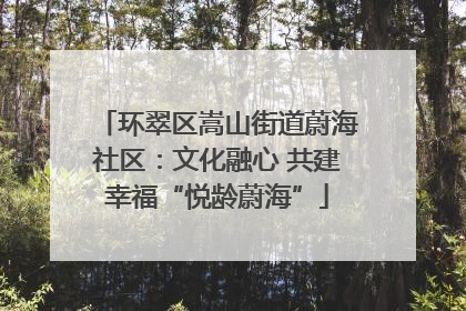 环翠区嵩山街道蔚海社区：文化融心 共建幸福“悦龄蔚海”
