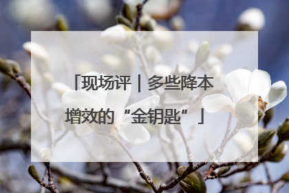 现场评｜多些降本增效的“金钥匙”