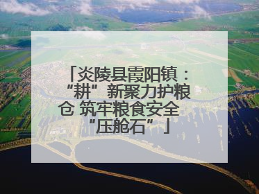 炎陵县霞阳镇：“耕”新聚力护粮仓 筑牢粮食安全“压舱石”