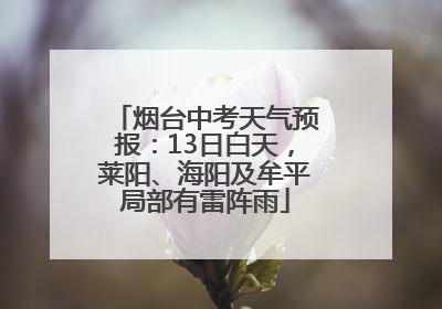 烟台中考天气预报：13日白天，莱阳、海阳及牟平局部有雷阵雨