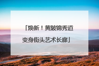 焕新！黄陂锦秀道变身街头艺术长廊