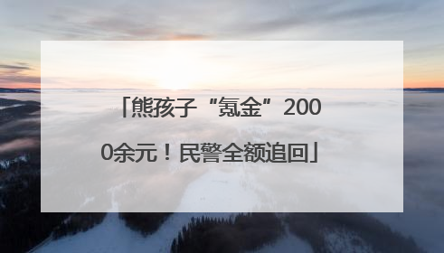 熊孩子“氪金”2000余元！民警全额追回