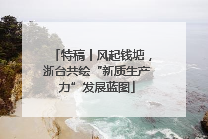 特稿丨风起钱塘，浙台共绘“新质生产力”发展蓝图