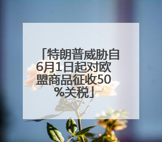 特朗普威胁自6月1日起对欧盟商品征收50%关税