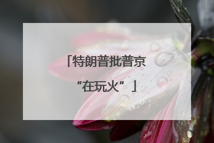 特朗普批普京“在玩火”