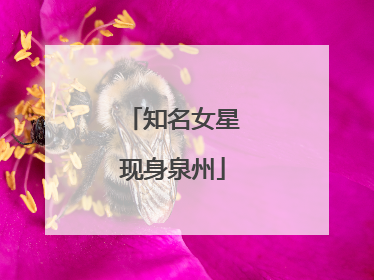 知名女星现身泉州