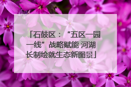 石鼓区：“五区一园一线”战略赋能 河湖长制绘就生态新图景