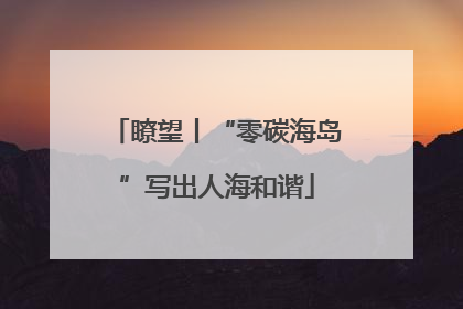 瞭望丨“零碳海岛”写出人海和谐