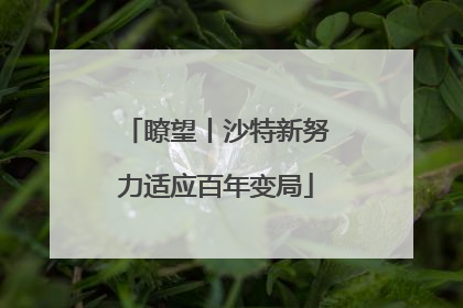瞭望丨沙特新努力适应百年变局