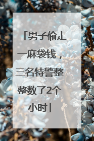 男子偷走一麻袋钱，三名特警整整数了2个小时