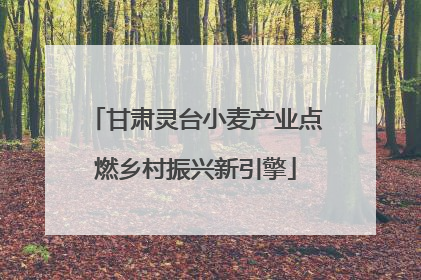 甘肃灵台小麦产业点燃乡村振兴新引擎