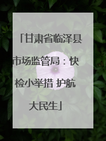 甘肃省临泽县市场监管局：快检小举措 护航大民生