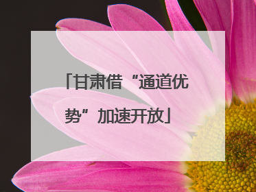 甘肃借“通道优势”加速开放
