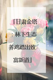 甘肃金塔：林下生态养鸡踏出致富新道