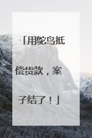 用鸵鸟抵偿货款，案子结了！