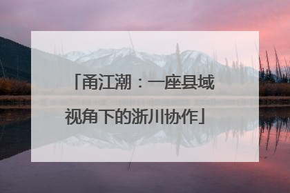 甬江潮：一座县域视角下的浙川协作