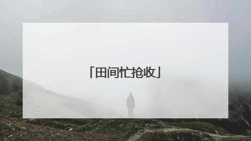 田间忙抢收