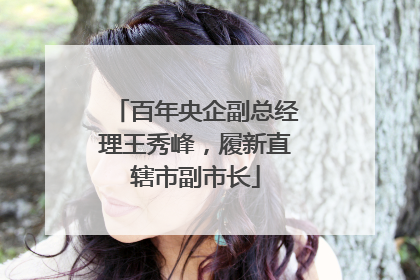 百年央企副总经理王秀峰，履新直辖市副市长