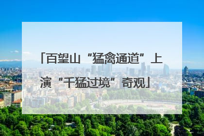 百望山“猛禽通道”上演“千猛过境”奇观