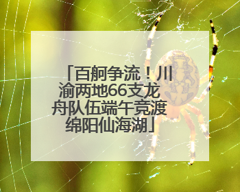 百舸争流！川渝两地66支龙舟队伍端午竞渡绵阳仙海湖