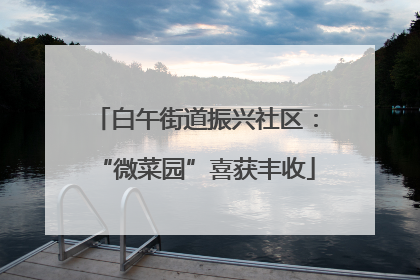 白午街道振兴社区：“微菜园”喜获丰收