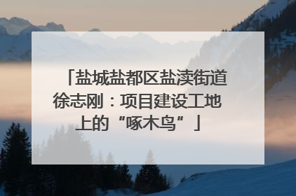 盐城盐都区盐渎街道徐志刚：项目建设工地上的“啄木鸟”