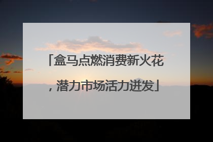 盒马点燃消费新火花，潜力市场活力迸发