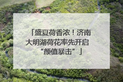 盛夏荷香浓！济南大明湖荷花率先开启“颜值暴击”