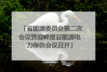 省能源委员会第二次会议暨迎峰度夏能源电力保供会议召开
