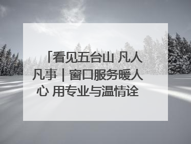 看见五台山 凡人凡事｜窗口服务暖人心 用专业与温情诠释责任担当