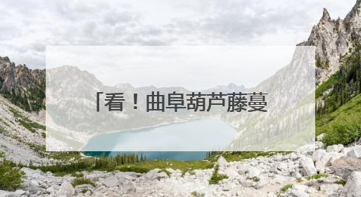 看！曲阜葫芦藤蔓上的“共富经”
