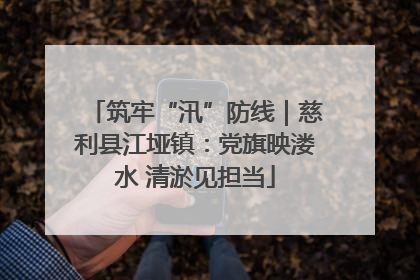 筑牢“汛”防线｜慈利县江垭镇：党旗映溇水 清淤见担当