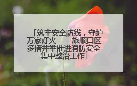 筑牢安全防线，守护万家灯火——旅顺口区多措并举推进消防安全集中整治工作