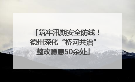 筑牢汛期安全防线！德州深化“桥河共治”整改隐患50余处