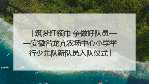 筑梦红领巾 争做好队员——安徽省龙亢农场中心小学举行少先队新队员入队仪式