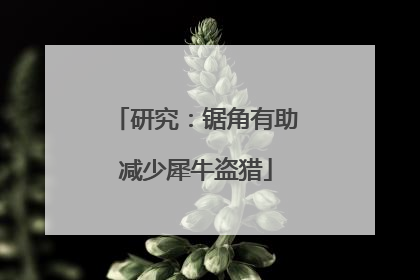 研究：锯角有助减少犀牛盗猎