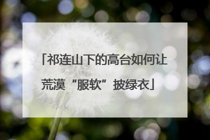 祁连山下的高台如何让荒漠“服软”披绿衣