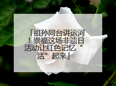 祖孙同台讲运河！崇福这场非遗日活动让红色记忆“活”起来