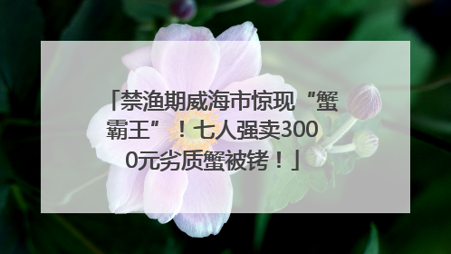 禁渔期威海市惊现“蟹霸王”！七人强卖3000元劣质蟹被铐！