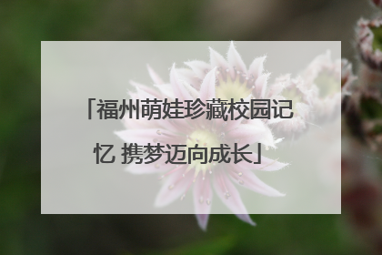 福州萌娃珍藏校园记忆 携梦迈向成长