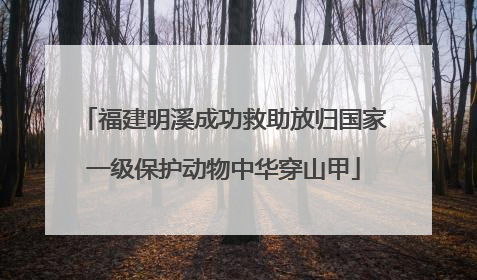 福建明溪成功救助放归国家一级保护动物中华穿山甲