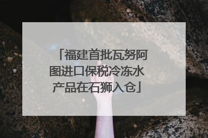 福建首批瓦努阿图进口保税冷冻水产品在石狮入仓