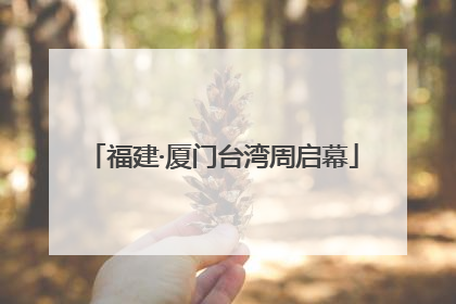 福建·厦门台湾周启幕