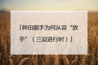 种田能手为何从容“放手”（三夏进行时）